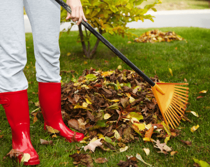 YARD CLEANUP