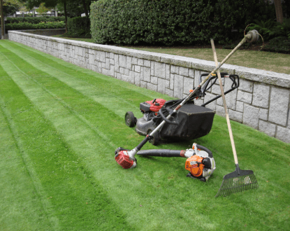 YARD MAINTENANCE