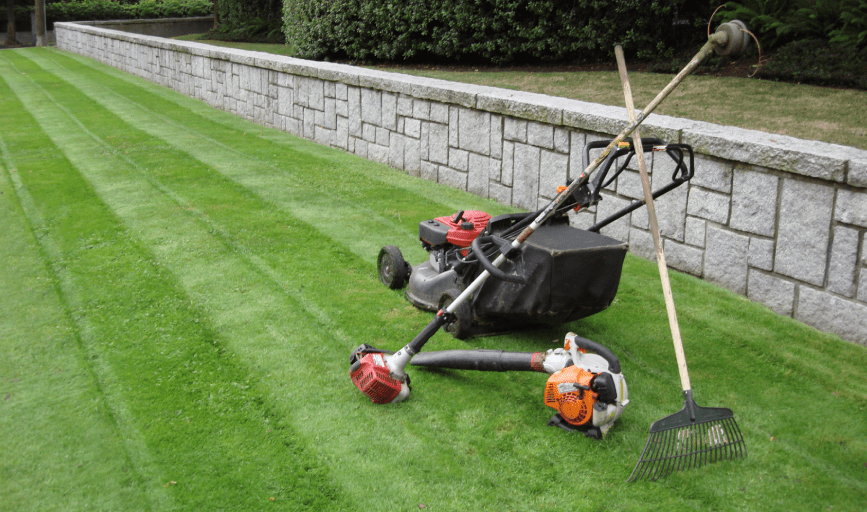 Apache Plume Landscaping